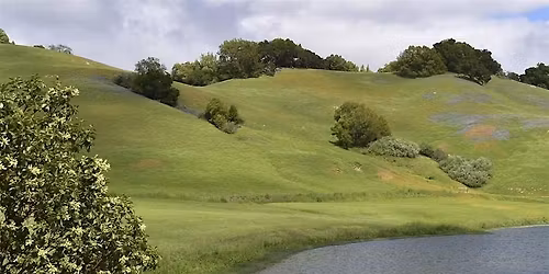 Family Day on the Ranch