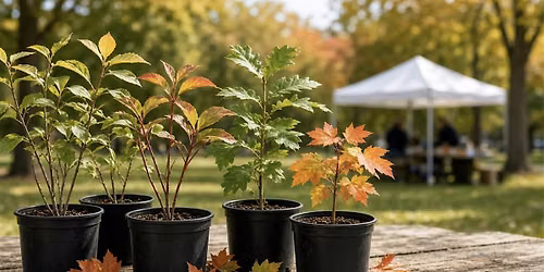 Malvern - Branching Out \/ Tree Giveaway