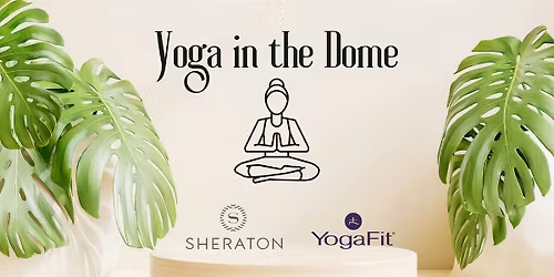Yoga in the Dome