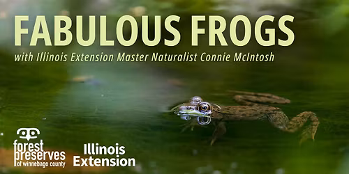 Fabulous Frogs - REGISTRATION FULL