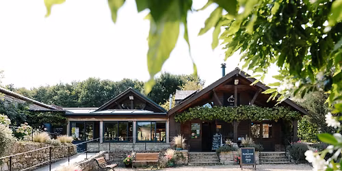 Live Jazz Sunday with Cat Skellington