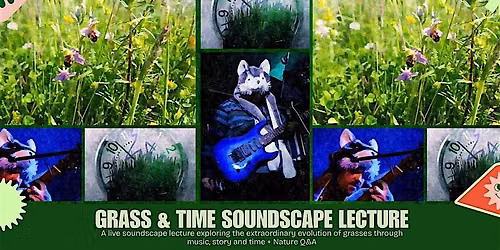 Grasslands - Grass & Time Soundscape Lecture @ Richard Jefferies Museum