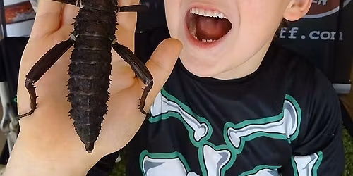 Bugs at Hopetown, Darlington!