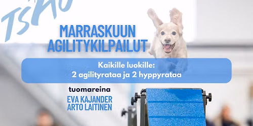 TSAUn marraskisat