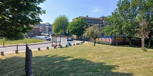 Fordham Park BeeWalk