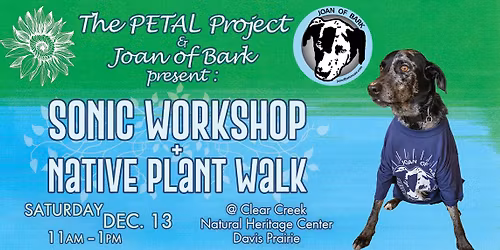 Sonic Workshop + Native Plant Walk
