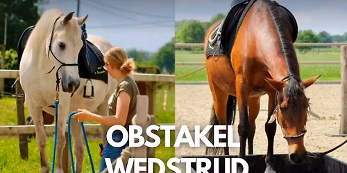 Obstakelwedstrijd\ud83c\udfc6\ud83d\udc34