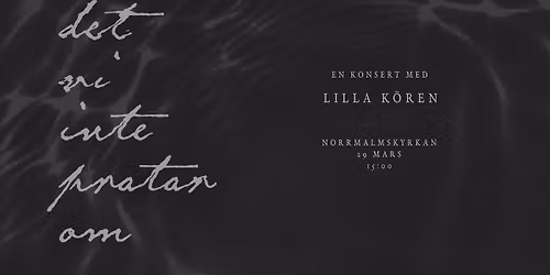 det vi inte pratar om... en konsert med Lilla k\u00f6ren