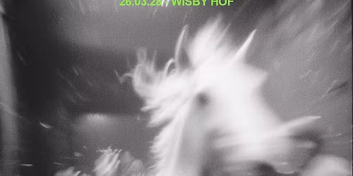 LEADING LIGHT | DECADENCE INCARNATE | AKADEMIN Live @ Wisby Hof