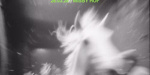 LEADING LIGHT | DECADENCE INCARNATE | AKADEMIN Live @ Wisby Hof