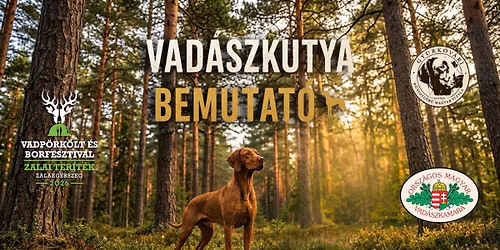 Vadászkutya bemutató