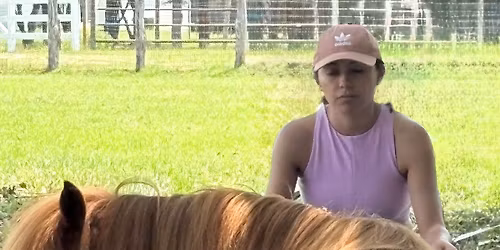 Equine/Herd Meditation & Raffle Basket Fundraiser 