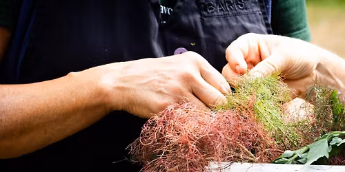 Workshop | Top-smaakmakers en heerlijke combo\u2019s