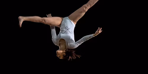 Utah Utes Gymnastics at Iowa State Cyclones Womens Gymnastics