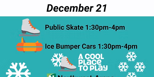 Public Skate and Ice Bumper Car-Sunday