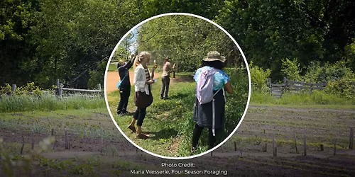 Spring Foraging for Wild Edibles