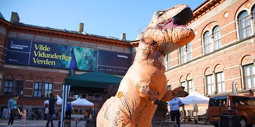 FossilFestival