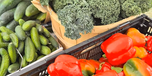 Fruit & Vegetable Prescription Program