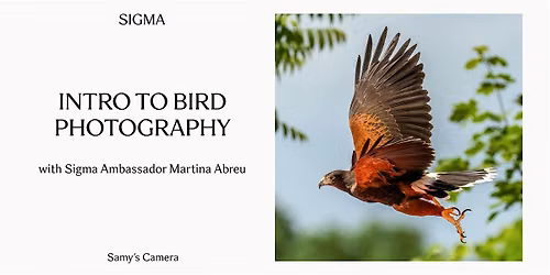 Introduction to Bird Photography with Martina Abreu - Los Angeles