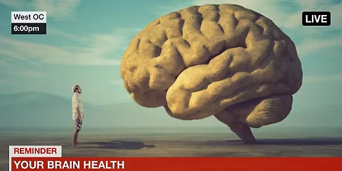 Trivia Tuesday at Sinepuxent Brewing