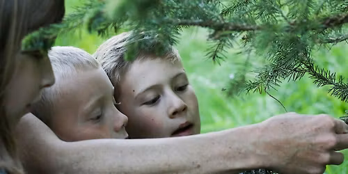 Peek into Spring Day  5