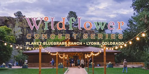Daniel Rodriguez String Band