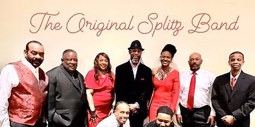 The Original Splitz (sounds of Motown)