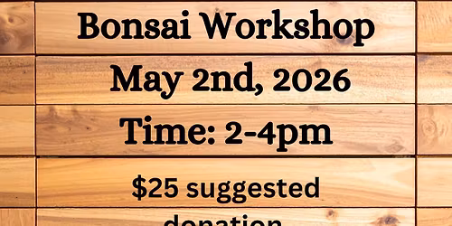 Bonsai Workshop 