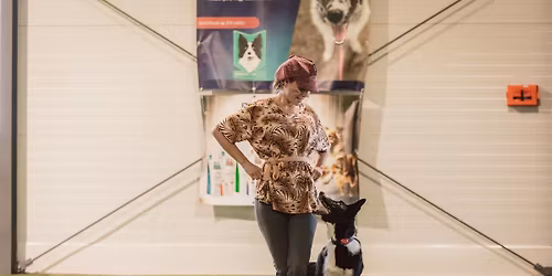 Obedience tr\u00e9ninkov\u00e9 starty Brno - \u010ceskoslovensk\u00e9 z\u00e1vody