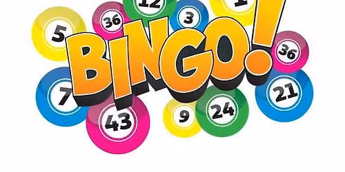 Bingo - Open to the Public