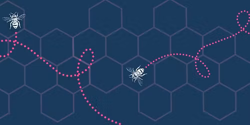 The Hive Real Estate Team Launch Party!