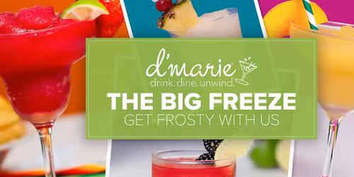 The Big Freeze Launch Party At Allan's Flowers