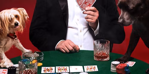 Dan Tiernan New Stand up Comedy Tour