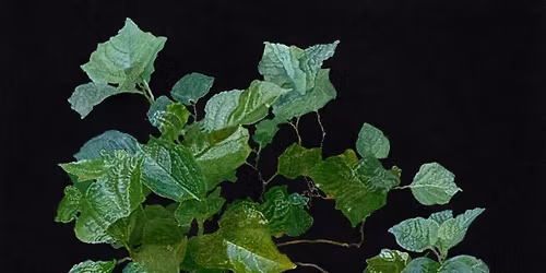 "(S'EN) SORTIR", exposition Karine Bedjidian.