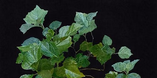 "(S'EN) SORTIR", exposition Karine Bedjidian.