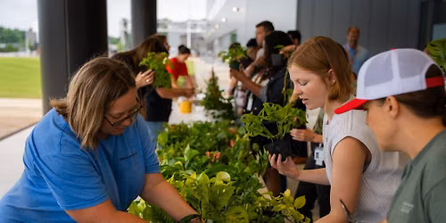 Houseplant & Propagation Workshop Saturday, June 27th \u00b7 10 AM