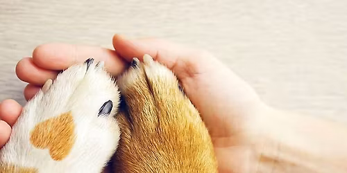 Reiki Share for Pet Owners\/Caretakers