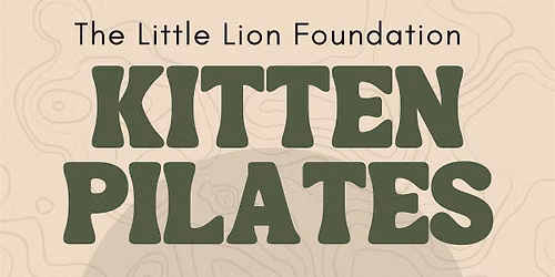Kitten Pilates and Play Therapy