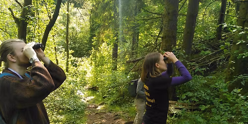 Kurs i artsregistrering med Sabima