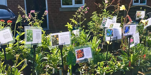 Carroll County Master Gardener's Plant Sale