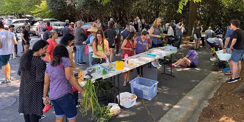 May Plant and Seed Swap