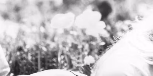 Deana Carter in Avon Park