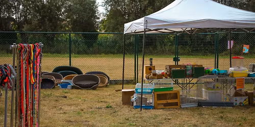 Hugs with Tails - Markt (2de editie) 