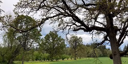 Rooted: A Women's Embodiment Retreat in Hillsboro, Oregon