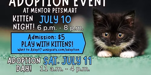 Winky Cats Adoption Event & Kitten Night July 10 & 11, 2026