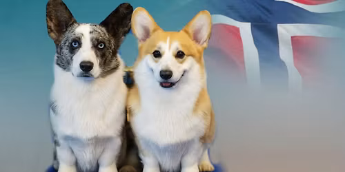 Tr\u00f8nderspesialen 2026 \u2013 Norsk Welsh Corgi Klubb