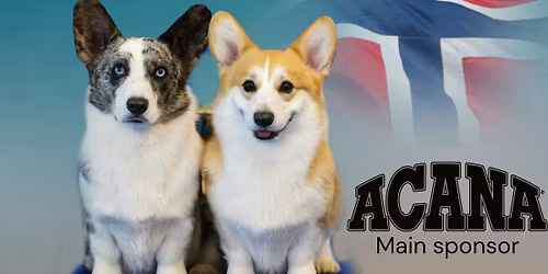 Tr\u00f8nderspesialen 2026 \u2013 Norsk Welsh Corgi Klubb