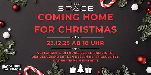 Coming Home for Christmas \u2728