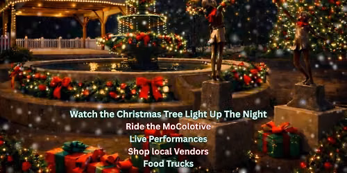 33rd Annual Tree Lighting in Unity Park