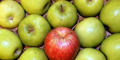 Hessische Pomologentage in Naumburg